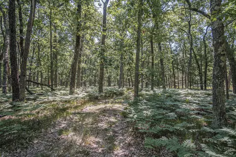 V/l S Star Lake Road, Baldwin, MI 49304