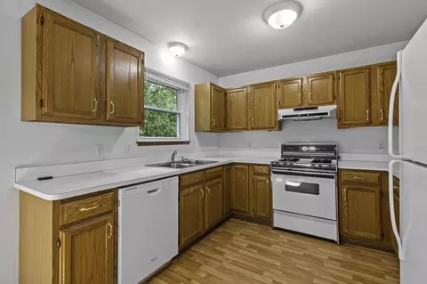 894 Alpine Dr, Brighton, MI 48116 photo 14