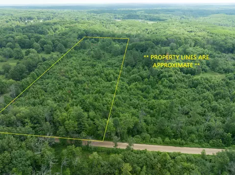Parcel 'a' Deer Lake Rd, Harrison, MI 48625