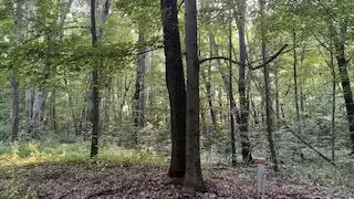 romeyn woods LOT 2, Middleville, MI 49333