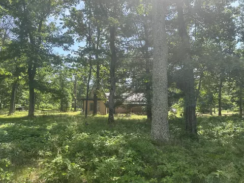 3423 S James Rd, Baldwin, MI 49304 photo 27