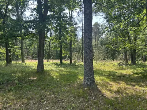 3423 S James Rd, Baldwin, MI 49304 photo 28