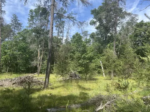 3423 S James Rd, Baldwin, MI 49304 photo 31