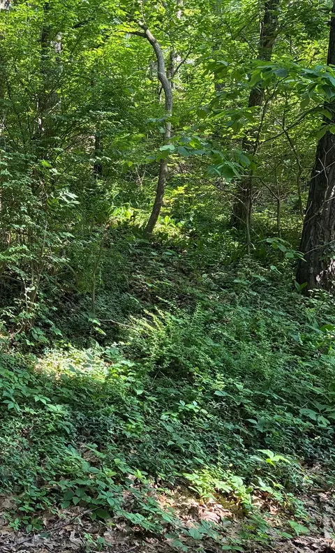 6 Lilac Ln, Grand Beach, MI 49117