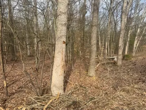 0 E Meinert Rd, Holton, MI 49425 photo 6