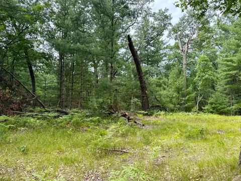 Columbine, Baldwin, MI 49304 photo 3