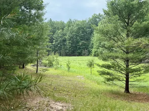 Columbine, Baldwin, MI 49304 photo 6