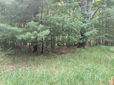 V/l Tamarack Road, Ludington, MI 49431