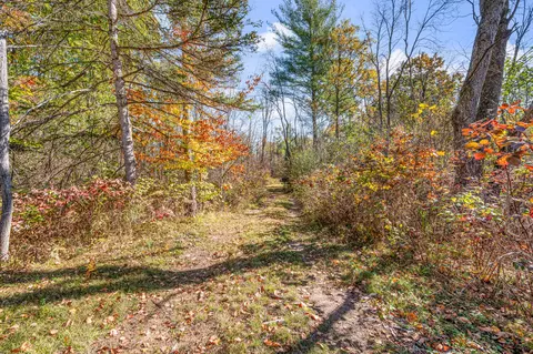 Other - 8558 Monterey Dr, Evart, MI 49631 photo 33 of 33