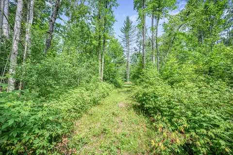 Other - 8558 Monterey Dr, Evart, MI 49631 photo 3 of 45