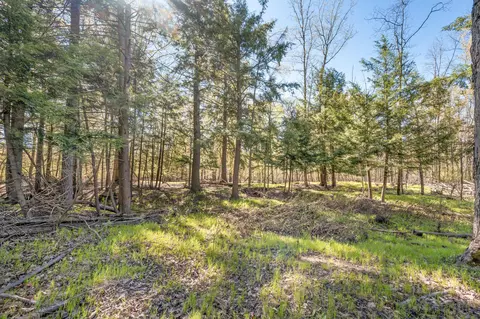 Exterior - 8558 Monterey Dr, Evart, MI 49631 photo 62 of 78