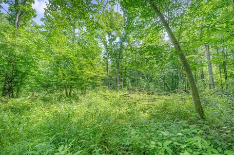 Exterior - 8558 Monterey Dr, Evart, MI 49631 photo 26 of 78
