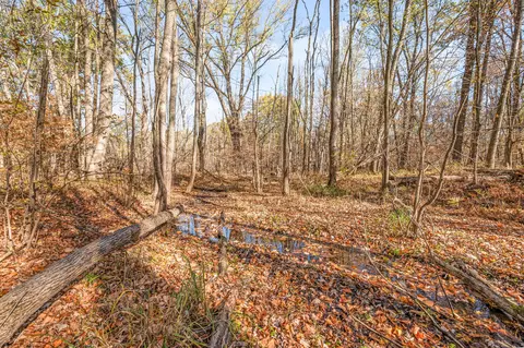 Other - 8558 Monterey Dr, Evart, MI 49631 photo 29 of 33