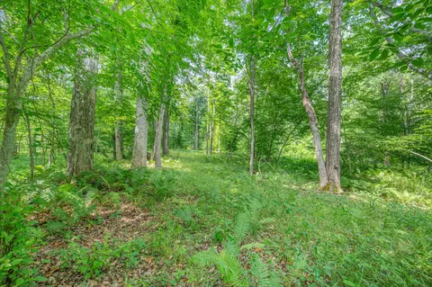 Exterior - 8558 Monterey Dr, Evart, MI 49631 photo 25 of 78