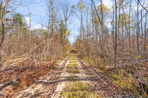Other - 8558 Monterey Dr, Evart, MI 49631 photo 32 of 33