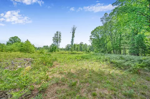 Exterior - 8558 Monterey Dr, Evart, MI 49631 photo 40 of 78