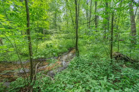 Other - 8558 Monterey Dr, Evart, MI 49631 photo 1 of 45