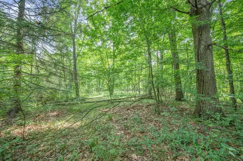 Exterior - 8558 Monterey Dr, Evart, MI 49631 photo 30 of 78