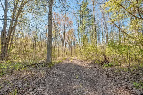 Other - 8558 Monterey Dr, Evart, MI 49631 photo 34 of 45