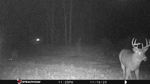 Other - 8558 Monterey Dr, Evart, MI 49631 photo 23 of 45