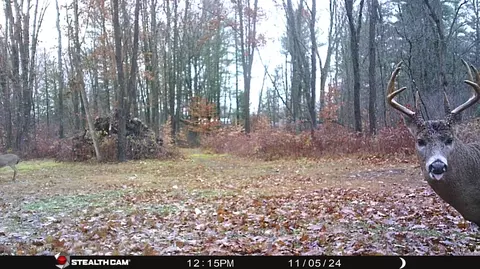 Other - 8558 Monterey Dr, Evart, MI 49631 photo 16 of 45