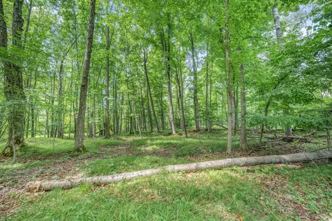 Exterior - 8558 Monterey Dr, Evart, MI 49631 photo 34 of 78
