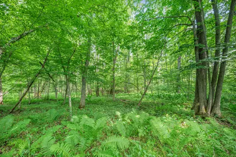Exterior - 8558 Monterey Dr, Evart, MI 49631 photo 27 of 78