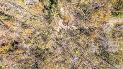 View/Area - 8558 Monterey Dr, Evart, MI 49631 photo 23 of 25