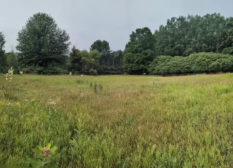 V/l W Ohio Street, Shelby, MI 49455