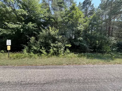 10951 Dobbyn Dr # 51, Canadian Lakes, MI 49346