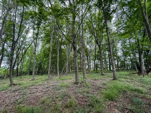 Parcel B N Stephens Road, Custer, MI 49405 photo 13