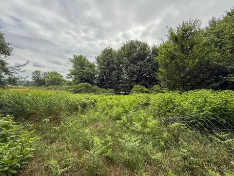 Parcel B N Stephens Road, Custer, MI 49405 photo 11