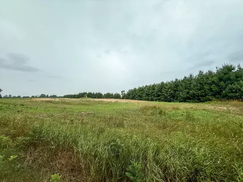 Parcel B N Stephens Road, Custer, MI 49405 photo 10