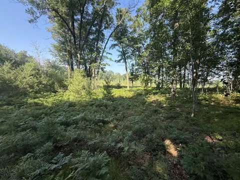tbd W Royal Rd #2, Stanwood, MI 49346
