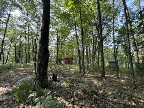 942 N 47 12 Rd, Manton, MI 49663