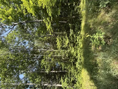 3628 Indian Trail Xing, Hersey, MI 49639