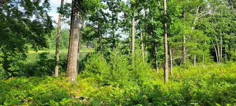 6464 S Weekend Ln, Baldwin, MI 49304 photo 8