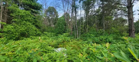 6464 S Weekend Ln, Baldwin, MI 49304 photo 12