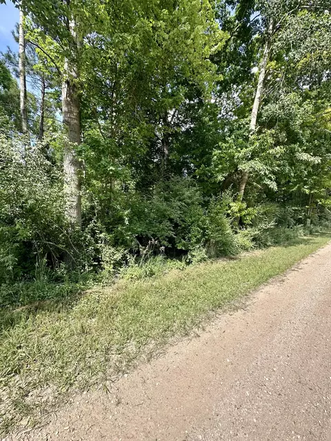 V/l E Decker Road, Branch, MI 49402 photo 5