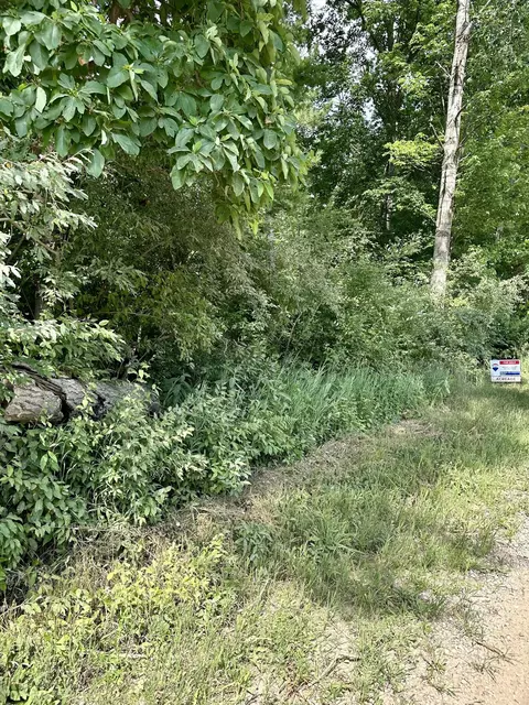 V/l E Decker Road, Branch, MI 49402 photo 3