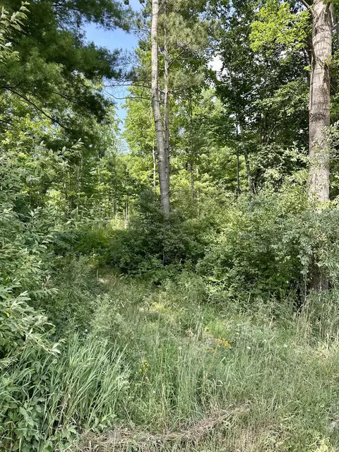 V/l E Decker Road, Branch, MI 49402 photo 4