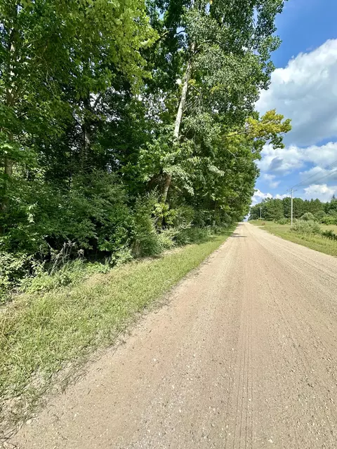 V/l E Decker Road, Branch, MI 49402 photo 2