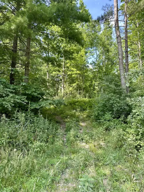 V/l E Decker Road, Branch, MI 49402