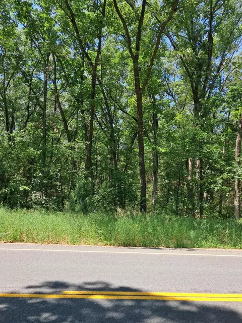 V/l Staple Road, Twin Lake, MI 49457