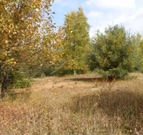 00 Pueblo Trl, Evart, MI 49631