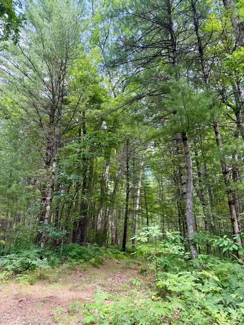 S Crossover Trail, Baldwin, MI 49304 photo 5