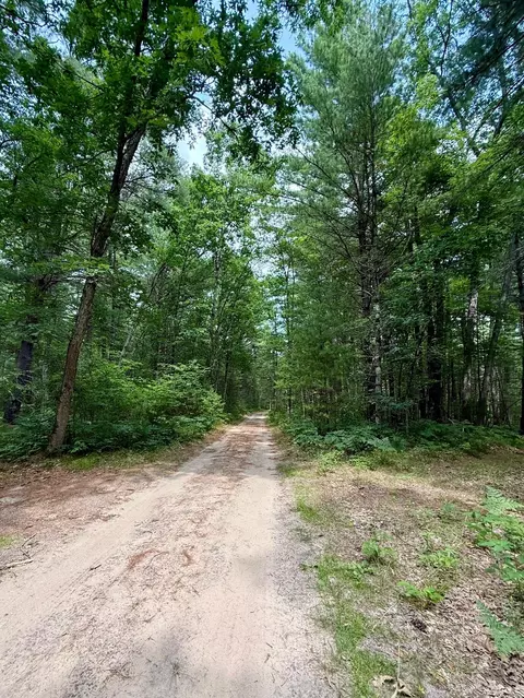 S Crossover Trail, Baldwin, MI 49304 photo 6