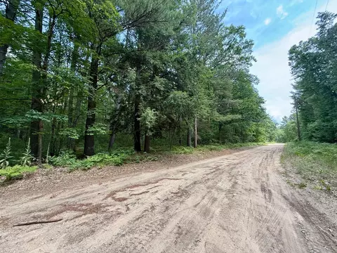 S Crossover Trail, Baldwin, MI 49304