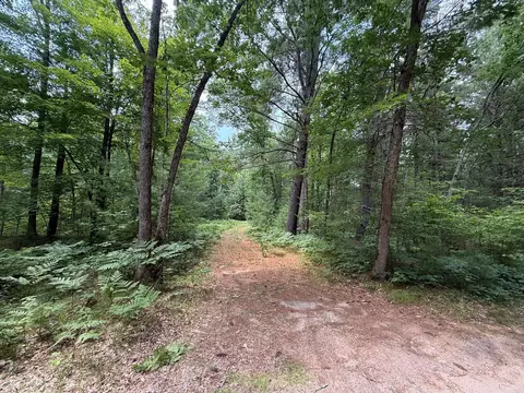S Crossover Trail, Baldwin, MI 49304 photo 7