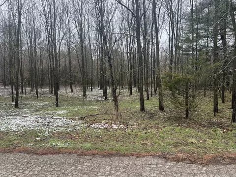 Drew Street, Paw Paw, MI 49079